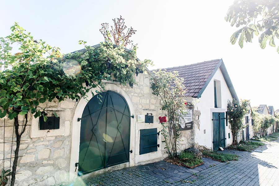 Breitenbrunn_Kellergasse_CateHoffmannPhotography Kellergasse Breitenbrunn © Cate Hoffmann