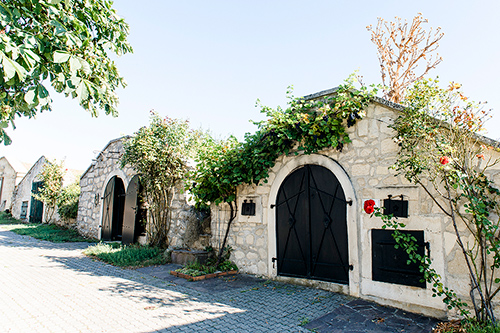 Breitenbrunn_Region_CateHoffmannPhotography_011_mobil Kellergasse klein © Cate Hoffmann Photography