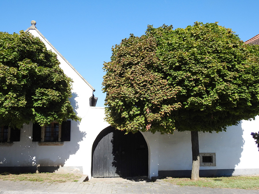 haus_breitenbrunn Burgenländisches Haus in Breitenbrunn